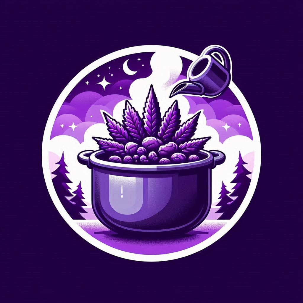 Cannabis Seeds in Colorado