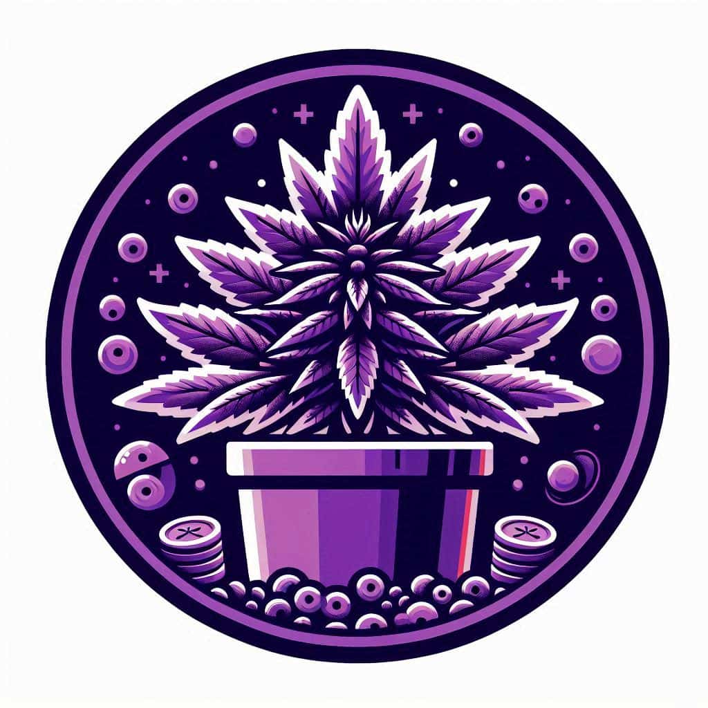 Grow Cannabis Seeds in Alaska