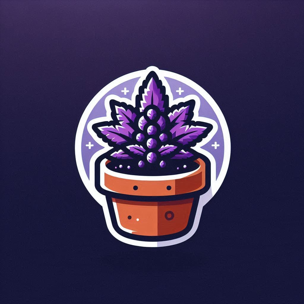 Grow Cannabis Seeds in Connecticut