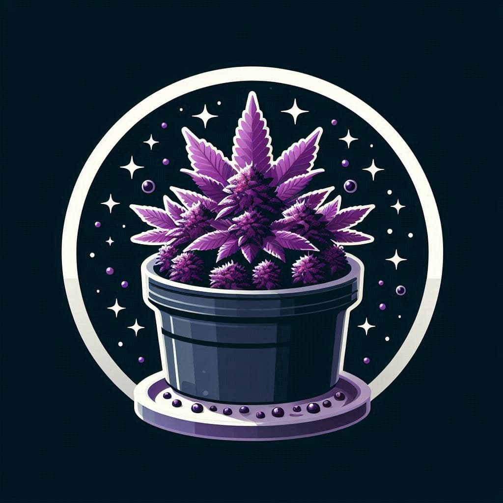 Grow Cannabis Seeds in Kentucky