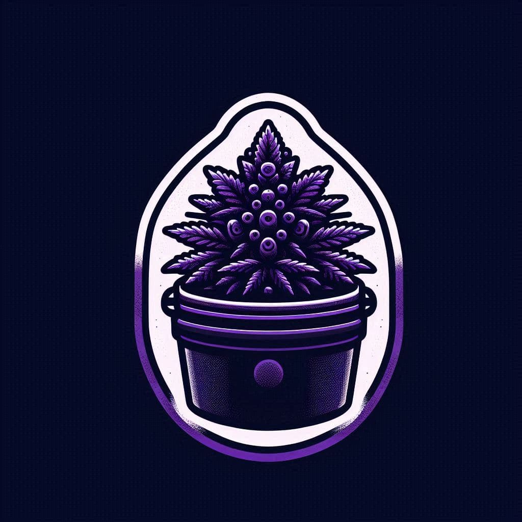 Grow Cannabis Seeds in Minnesota