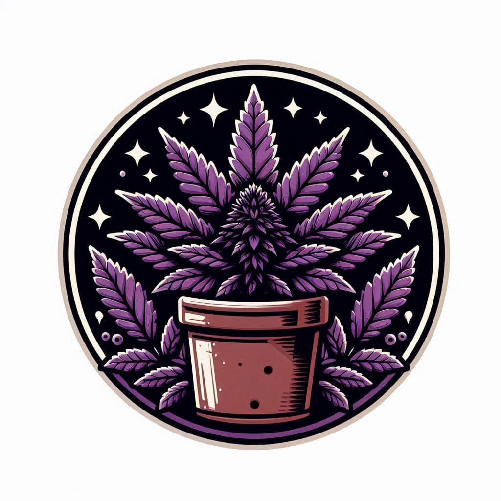 Grow Cannabis Seeds in New York