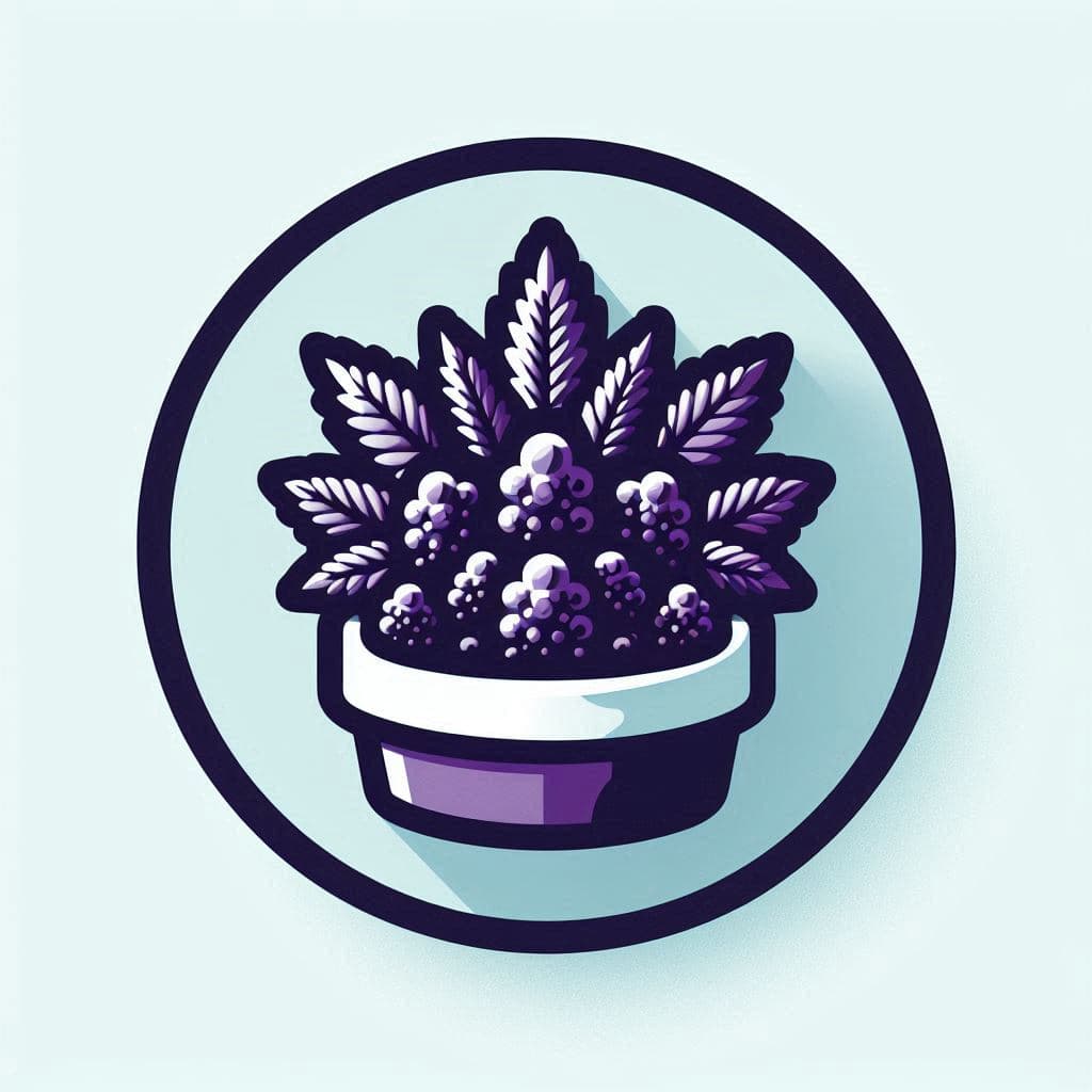 Grow Cannabis Seeds in South Carolina