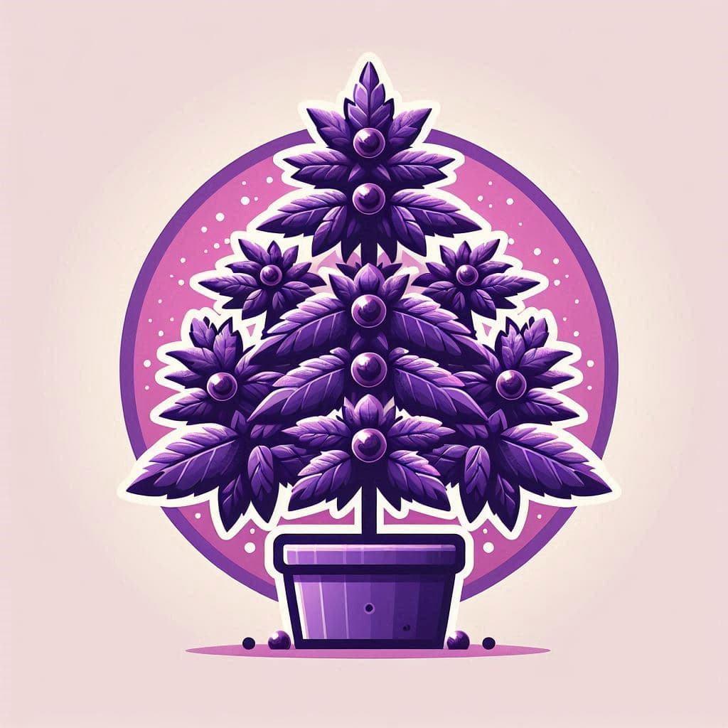 Grow Cannabis Seeds in Virginia