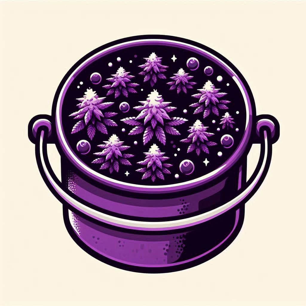 Cannabis Seeds in Idaho