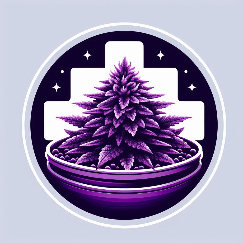 Cannabis Seeds in Nevada