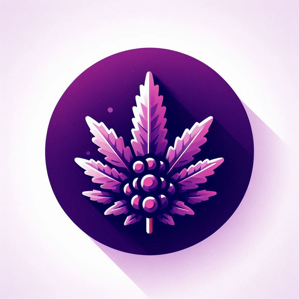Grow Purple Haze Seeds