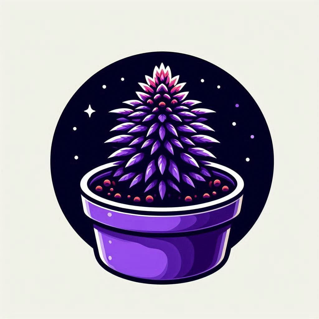 Cannabis Seeds in South Carolina