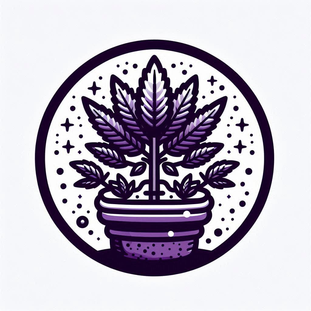 Cannabis Seeds in Utah