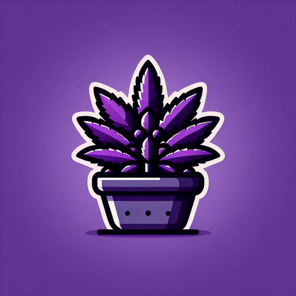 Buy Cannabis Seeds in Alaska