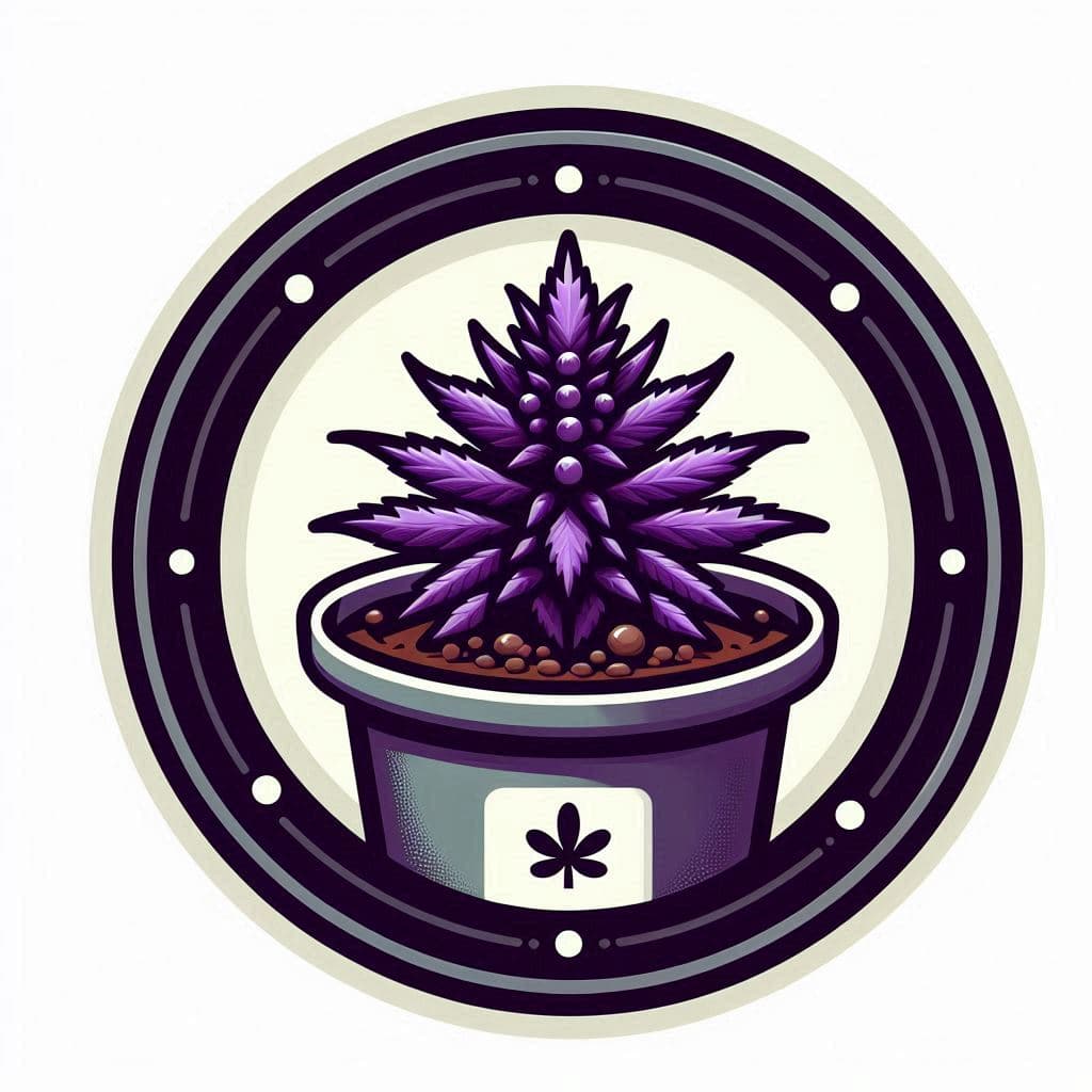 Buy Cannabis Seeds in Delaware