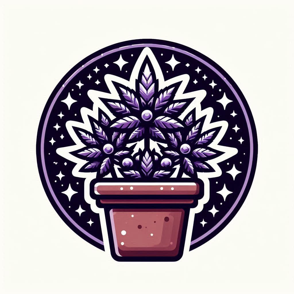 Buy Cannabis Seeds in New York