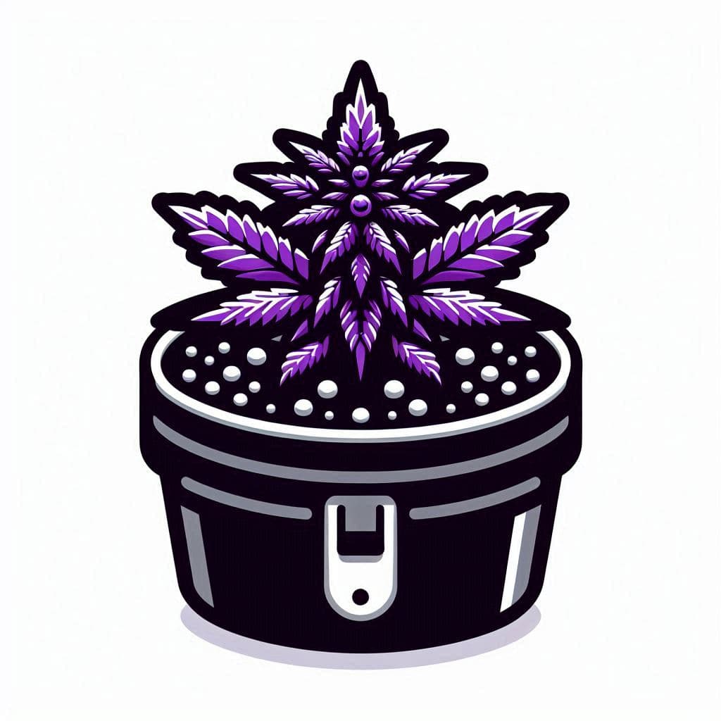 Buy Cannabis Seeds in Virginia